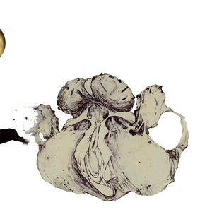 COIL The Ape Of Naples