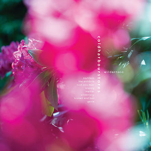 COLDHARBOURSTORES Wilderness