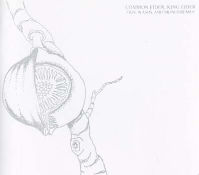 COMMON EIDER, KING EIDER Figs, Wasps, And Monotremes