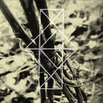 COMMON EIDER, KING EIDER Shrines For The Unwanted, Respite For The Cast Aside