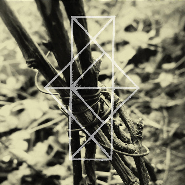 COMMON EIDER, KING EIDER Shrines For The Unwanted, Respite For The Cast Aside