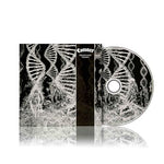 Coroner Dissonance Theory