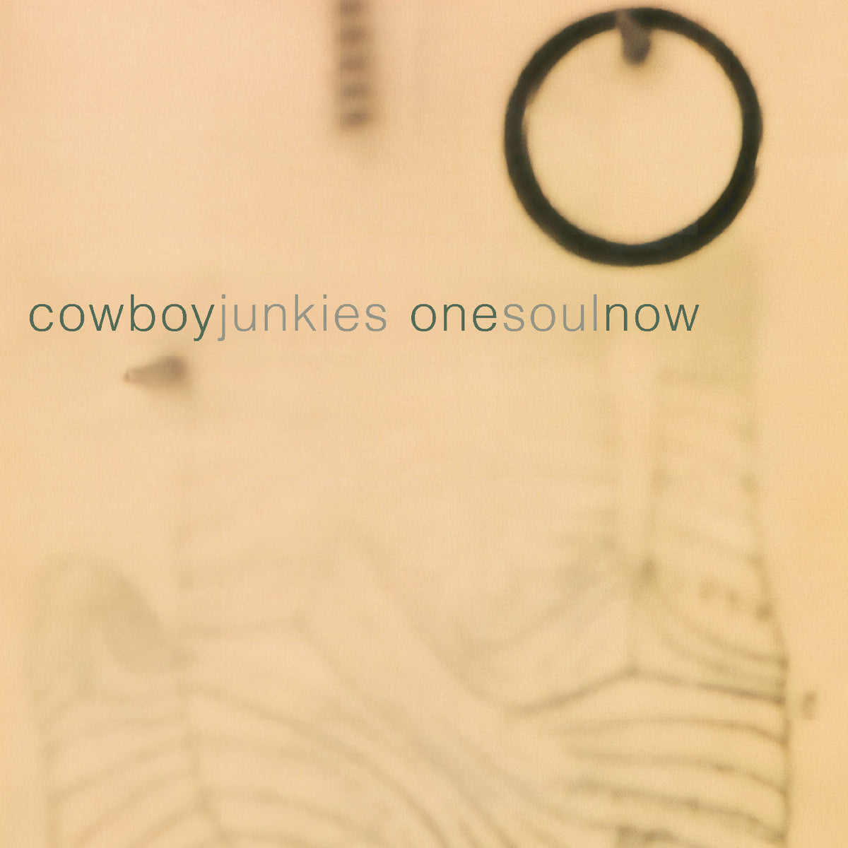 Cowboy Junkies One Soul Now