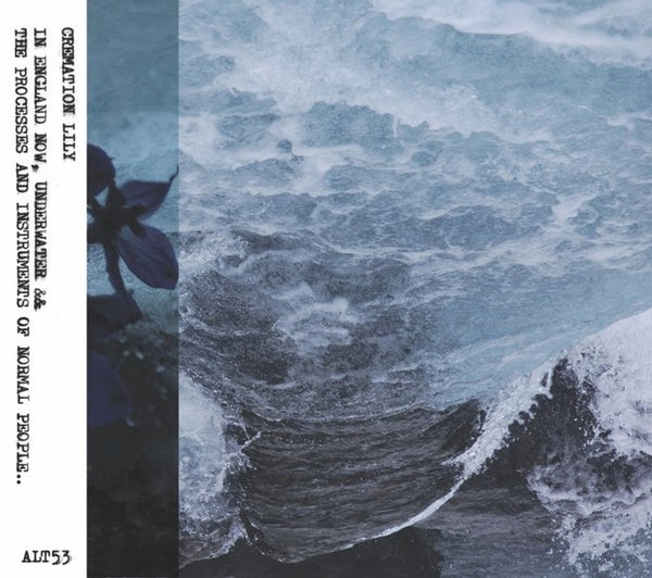 CREMATION LILY In England Now, Underwater & The Processes And Intruments of Normarl People