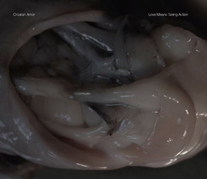 CROATIAN AMOR Love Means Taking Action