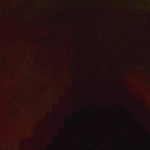 CROTAPHYTUS Acanthosaura