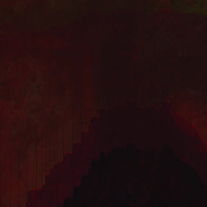 CROTAPHYTUS Acanthosaura