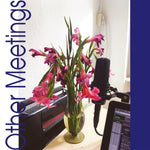 CRYS COLE Other Meetings