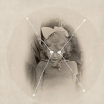 Current 93 The Light Is Leaving Us All (Picture Disc)