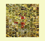 Dalhous Will to Be Well