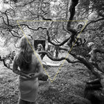 Dao Strom Tender Revolutions [Lp]