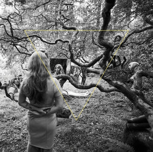 Dao Strom Tender Revolutions [Lp]