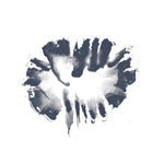 DAVID TOOP Field Recording and Fox Spirits