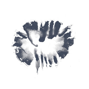 DAVID TOOP Field Recording and Fox Spirits