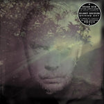 DELANEY DAVIDSON Shining Day