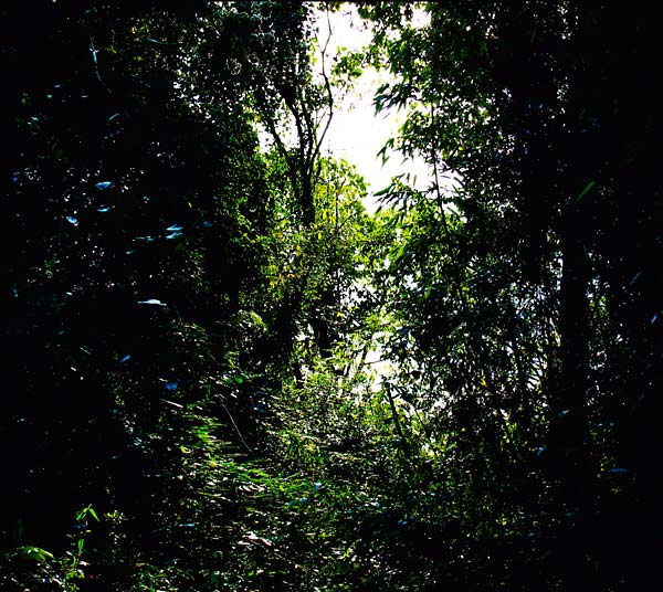 DEREK PIOTR Tempatempat