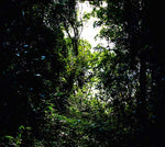 DEREK PIOTR Tempatempat