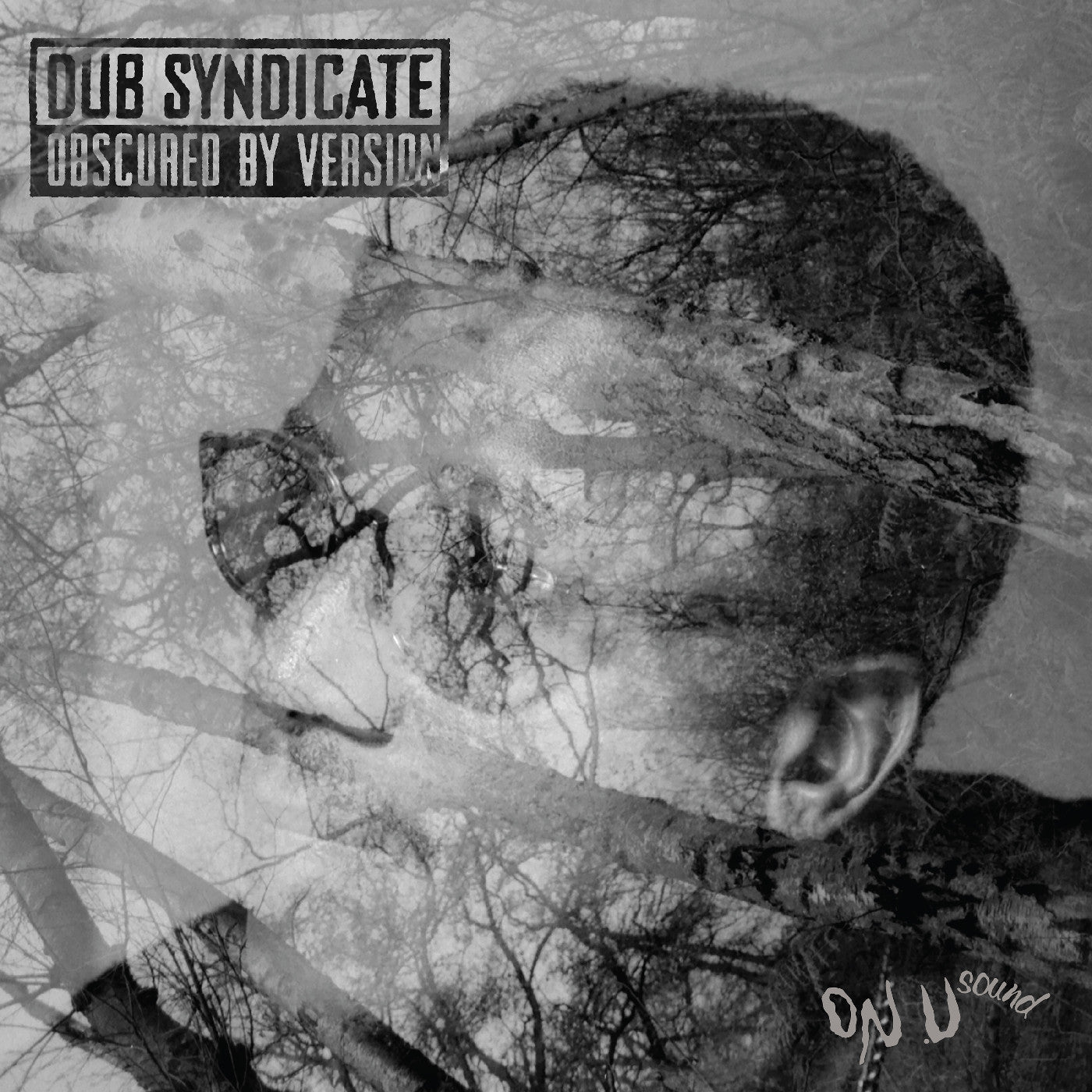Dub Syndicate Obscured By Version
