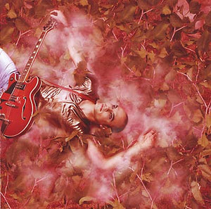 ELECTRONICAT Voodoo Man