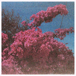 ELISABETH KLINCK Picture a Frame