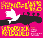 ENZO PIETROPAOLI WIRE TRIO Woodstock Reloaded