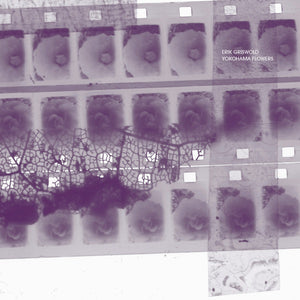 ERIK GRISWOLD Yokohama Flowers