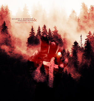EUGENE S. ROBINSON & PHILIPPE PETIT Chapel In The Pines