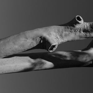 EUGENE UGHETTI Agglomeration Of Measurement