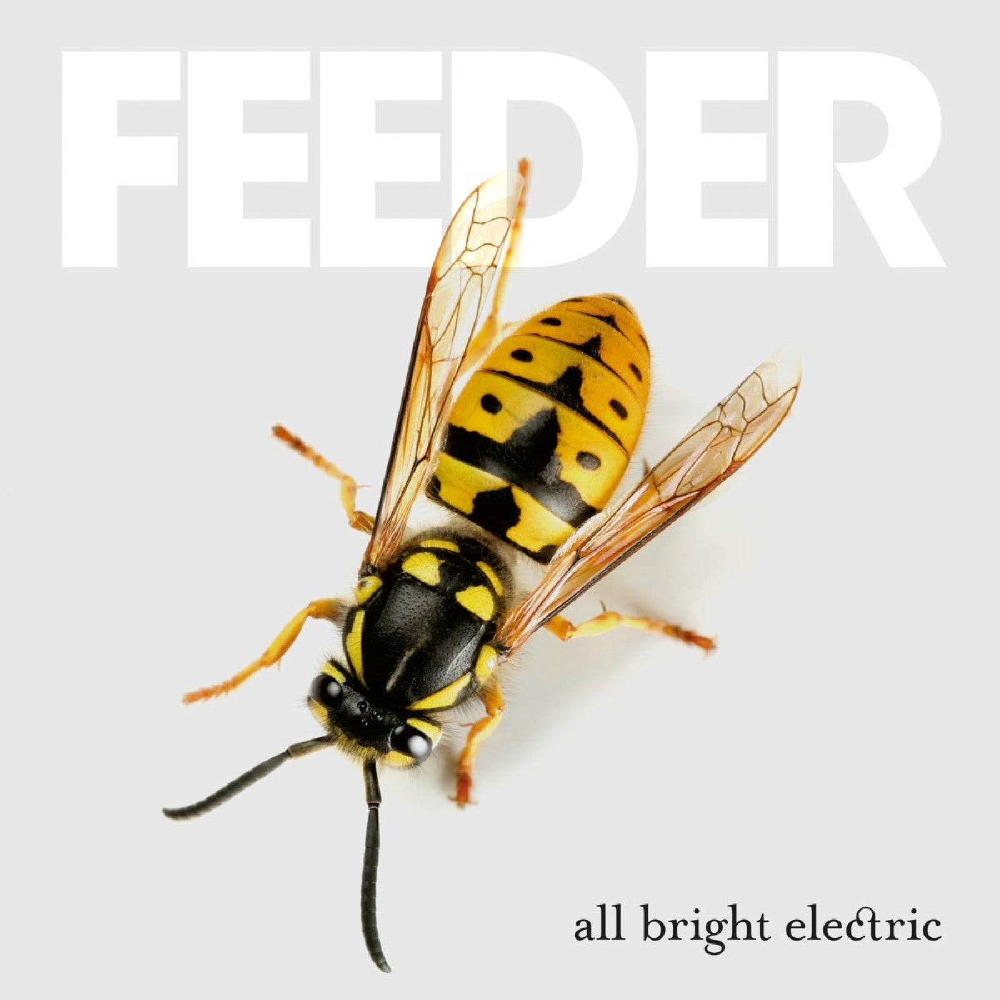Feeder All Bright Electric (Deluxe Edition)