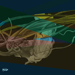 FENN O'BERG Magic & Return