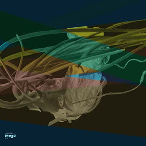 FENN O'BERG Magic & Return