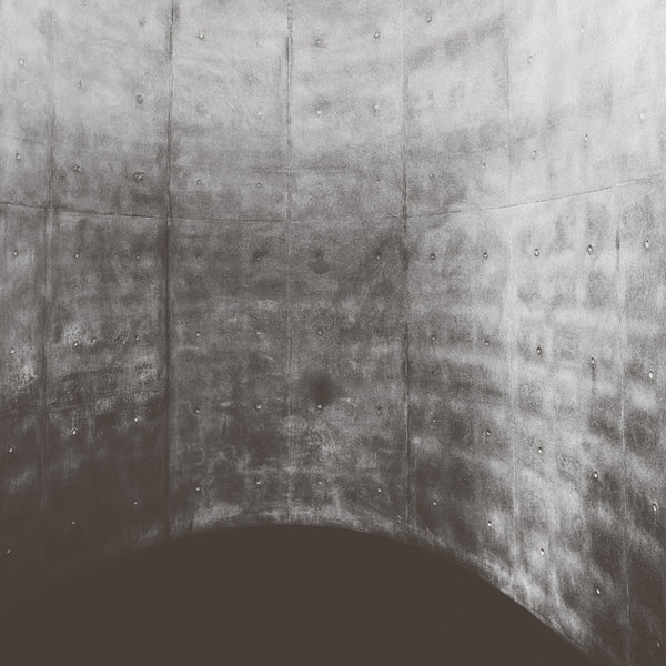 FINAL What We Don't See