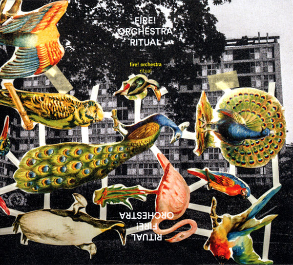 FIRE! ORCHESTRA Ritual