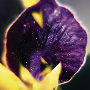 FIS From Patterns To Details