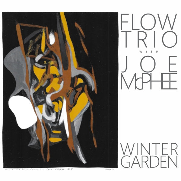 FLOW TRIO WITH JOE MCPHEE Winter Garden