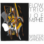 FLOW TRIO WITH JOE MCPHEE Winter Garden