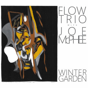 FLOW TRIO WITH JOE MCPHEE Winter Garden