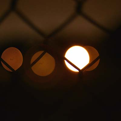 FLUXION Vibrant Forms