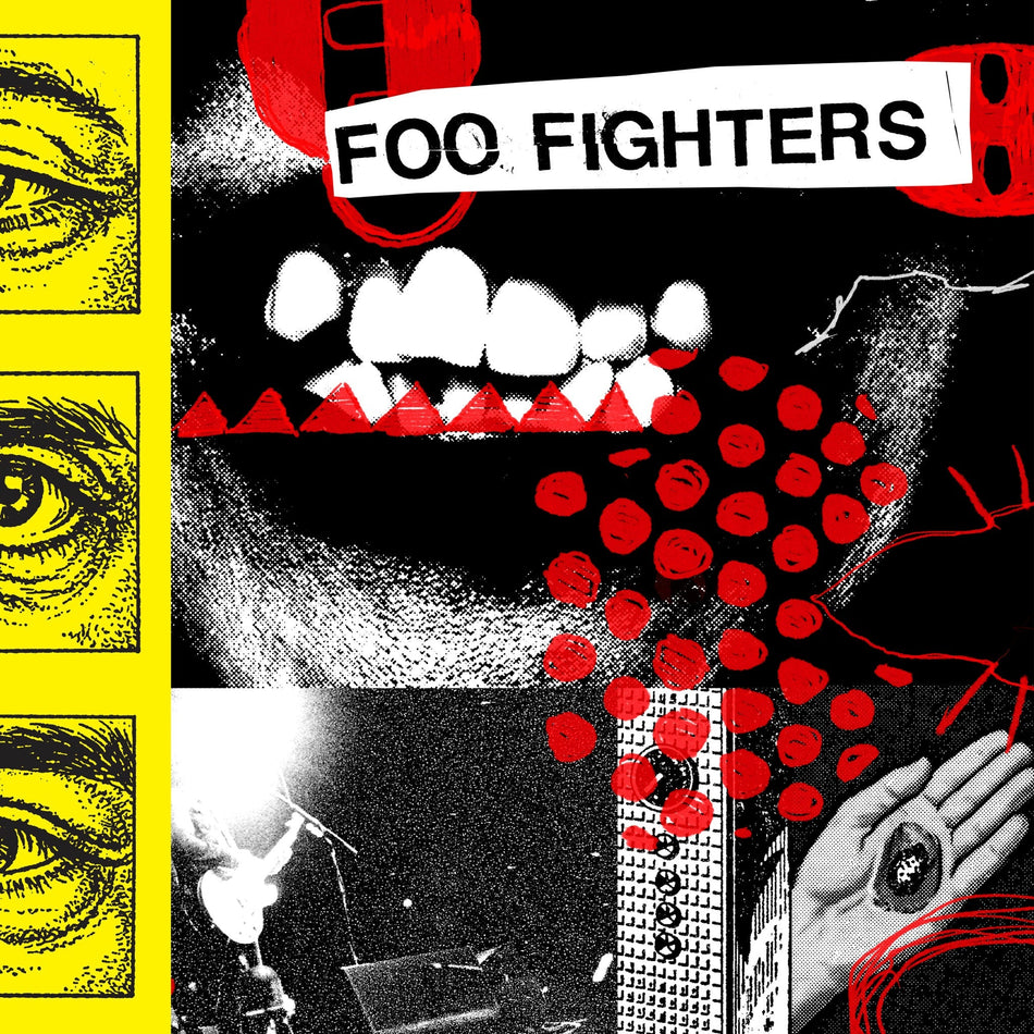 Foo Fighters Your Favorite Toy (24X24 Poster) [Black Opaque Vinyl]