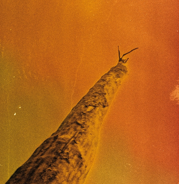 FREDERIC D. OBERLAND/GREGORY DARGENT/TONY ELIEH/WA SIHR