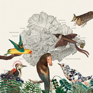 Friendly Rich The Birds Of Marsville