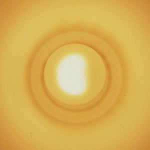 GAUTE GRANLI Monstersol