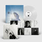 Geese Getting Killed [Clear Vinyl]