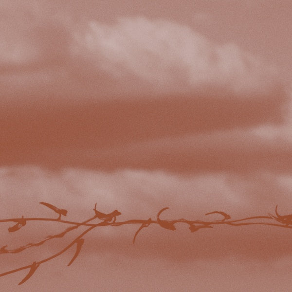 GENEVA SKEEN Double Bind