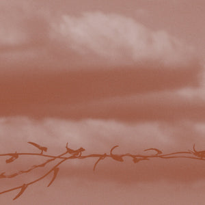 GENEVA SKEEN Double Bind