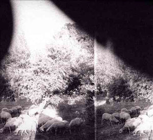 Godspeed You Black Emperor Asunder Sweet & Other Distress (180 Gram Vinyl, Digital Download Card)