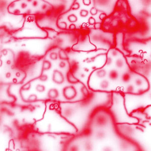 GONNO Remember the Life Is Beautiful