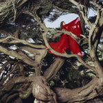 Hannah Frances Nested In Tangles