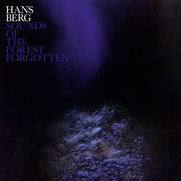 HANS BERG Sounds Of The Forest Forgotten