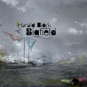 HARALD BJORK Bigfield